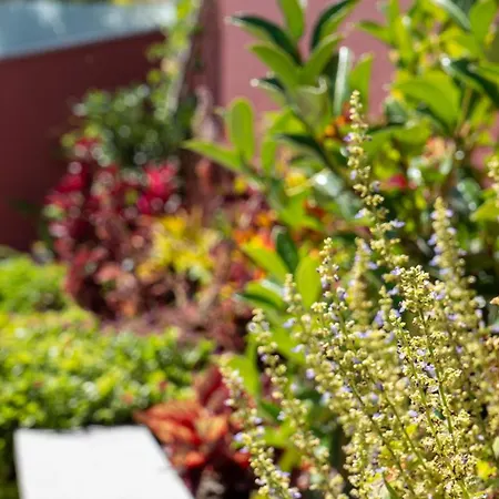 Bravasol By Lovelystay Σπίτι διακοπών *