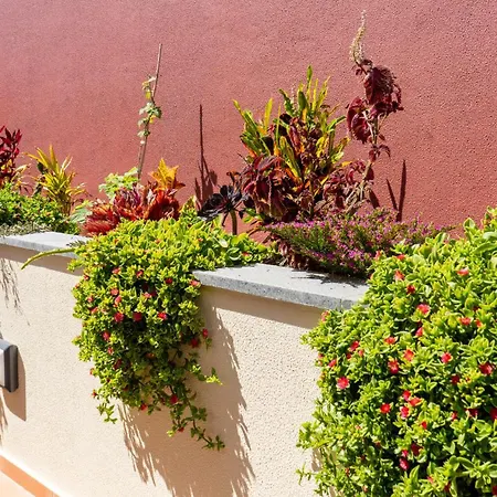 Bravasol By Lovelystay Casa de Férias Tabua (Madeira)