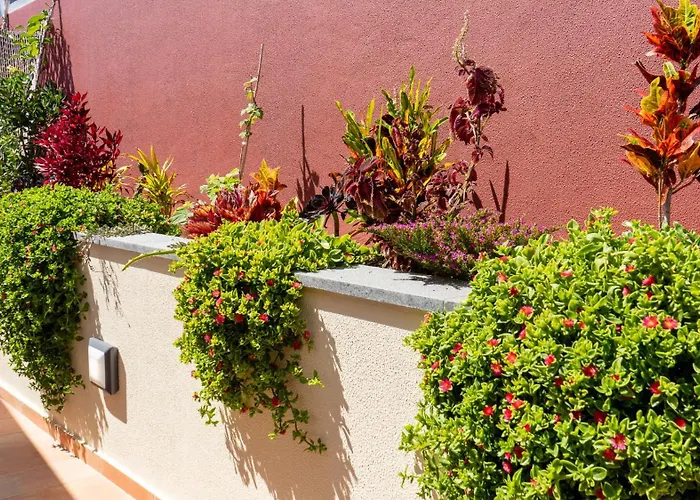 Bravasol By Lovelystay Hébergement de vacances Tabua (Madeira)